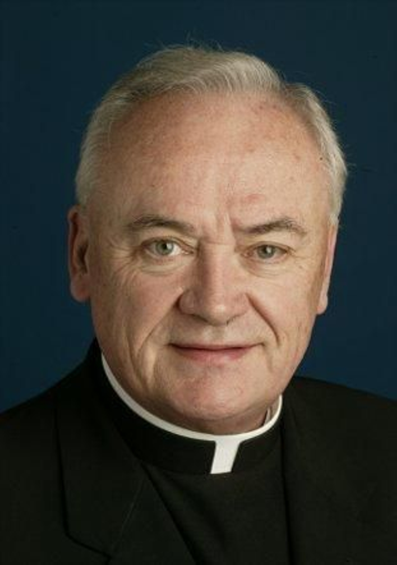 El Papa acepta la renuncia del obispo irlandés que retrasó investigaciones sobre casos de pederastia