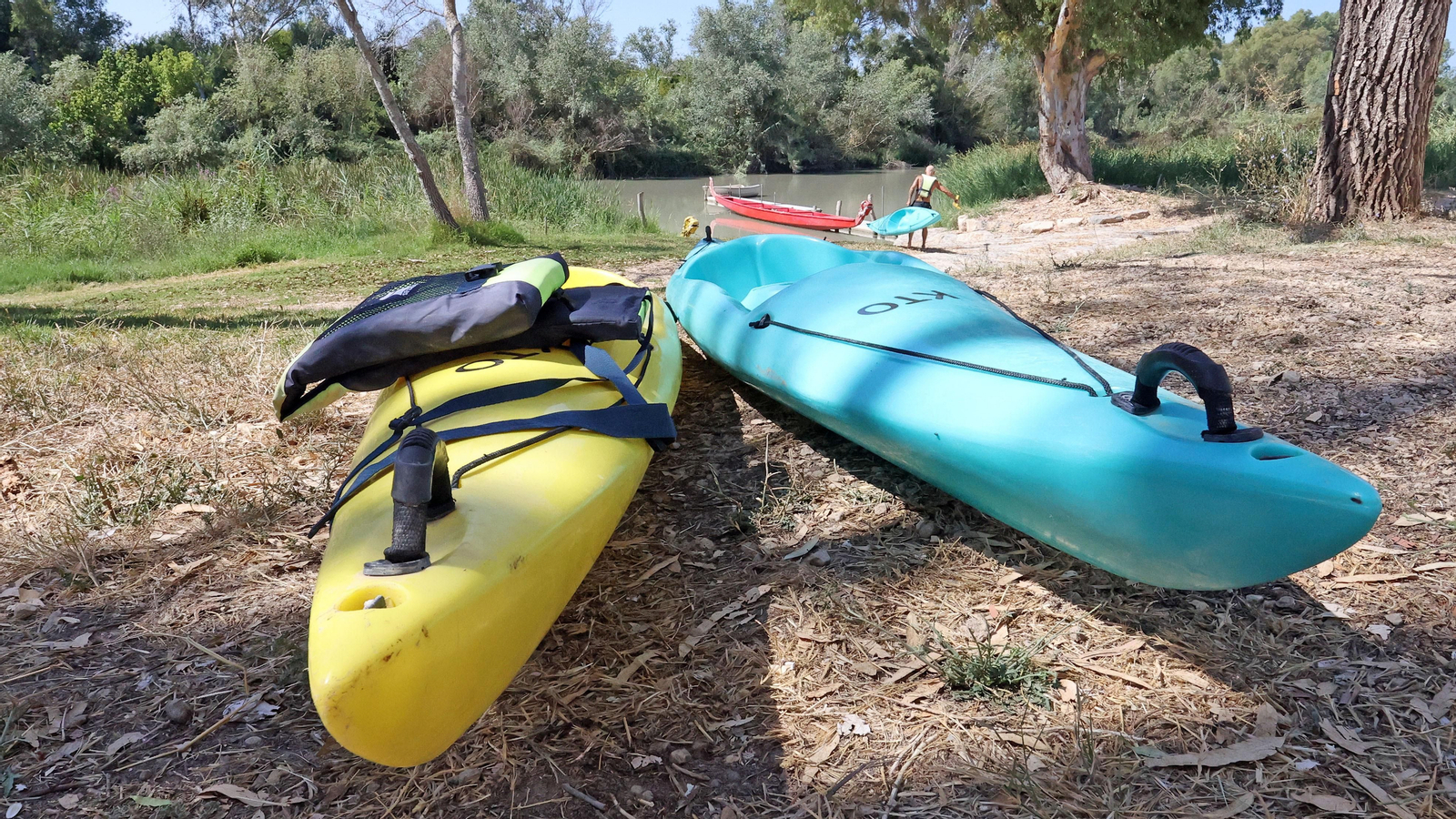Paseo por el Guadalete en Kayak