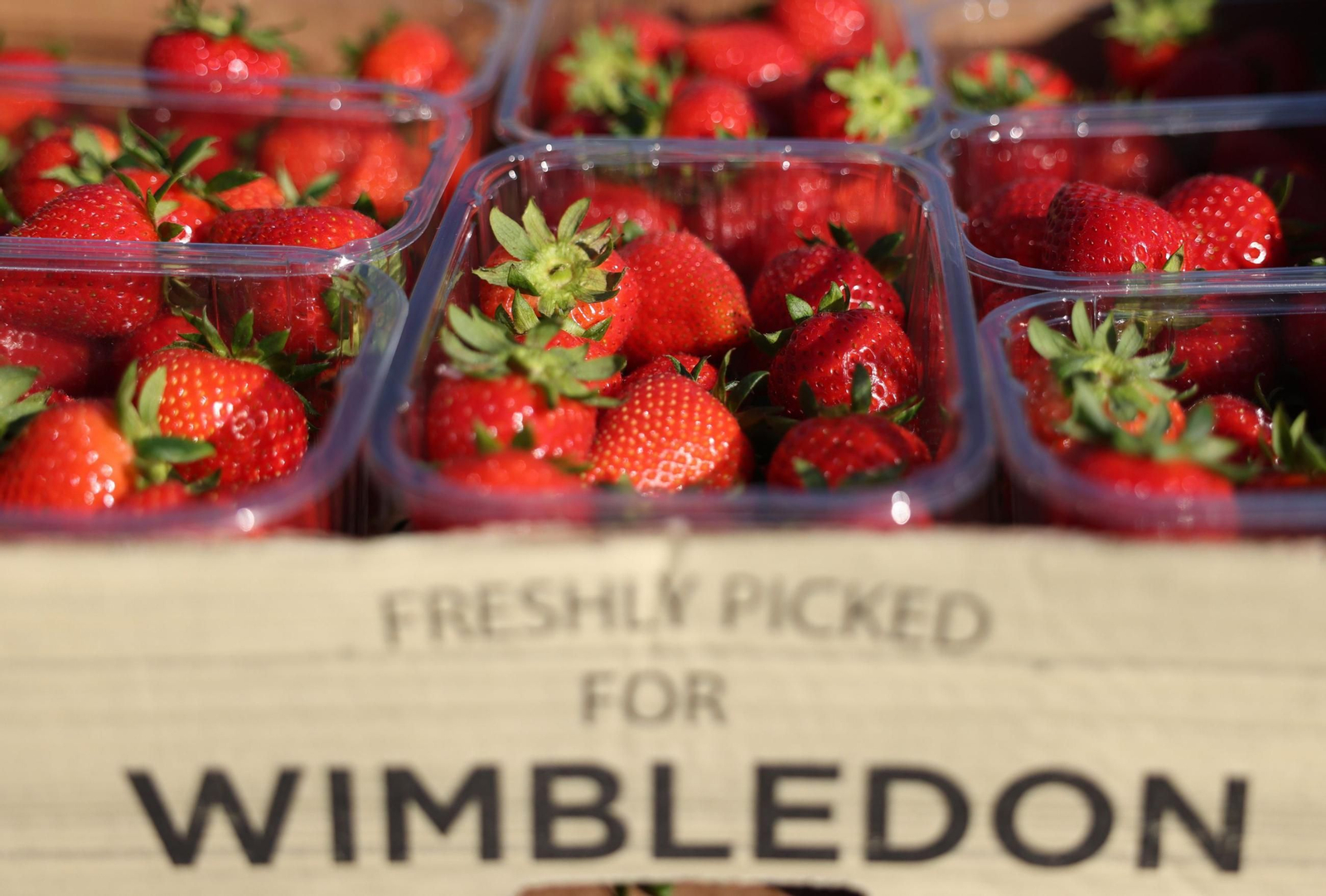 La primera jornada de Wimbledon (6).jpg