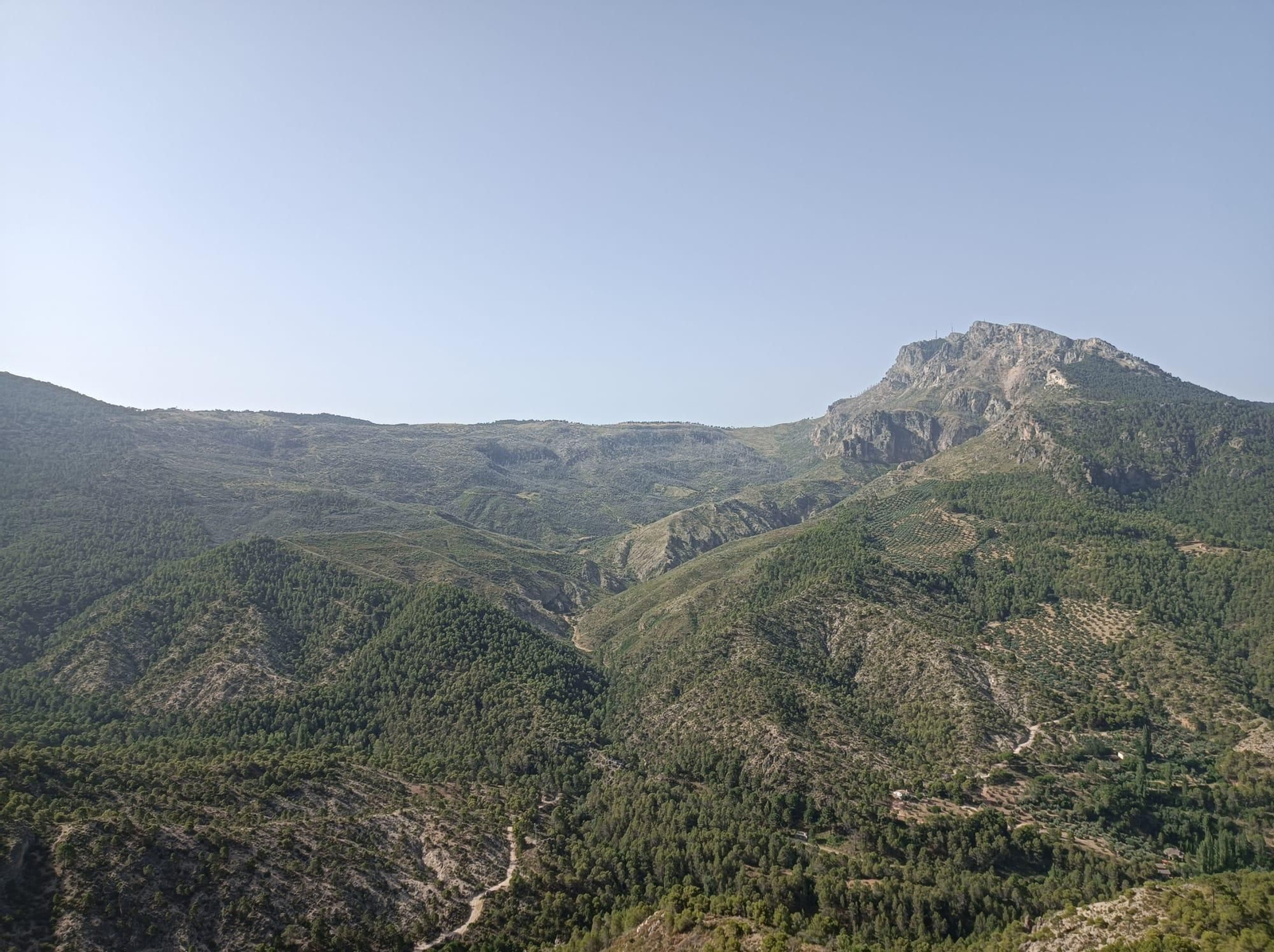 Así se regenera Segura de la Sierra tras el incendio forestal de 2017 Así se regenera Segura de la Sierra tras el incendio forestal de 2017