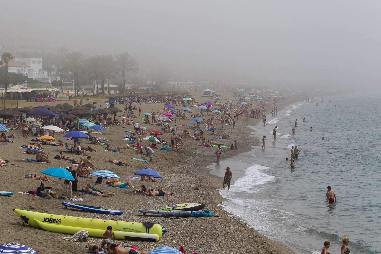 El taró provoca la prohibición del baño en las playas de Málaga, en imágenes