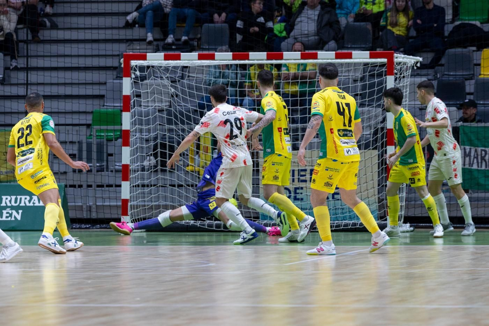 Las mejores fotos del empate entre Jaén Paraíso Interior FS y ElPozo Murcia