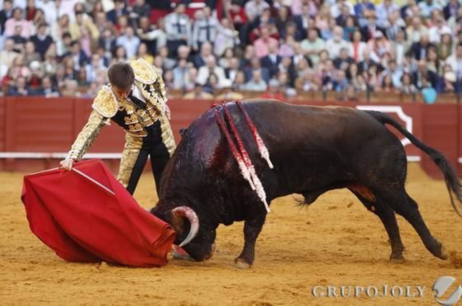 El Juli lidia al sexto toro.

Foto: Juan Carlos Muñoz