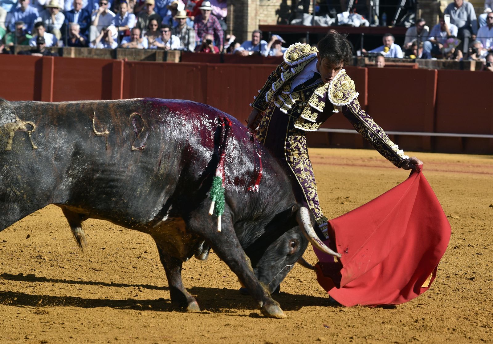 La 14ª de abono en la Real Maestranza de Sevilla, en imágenes