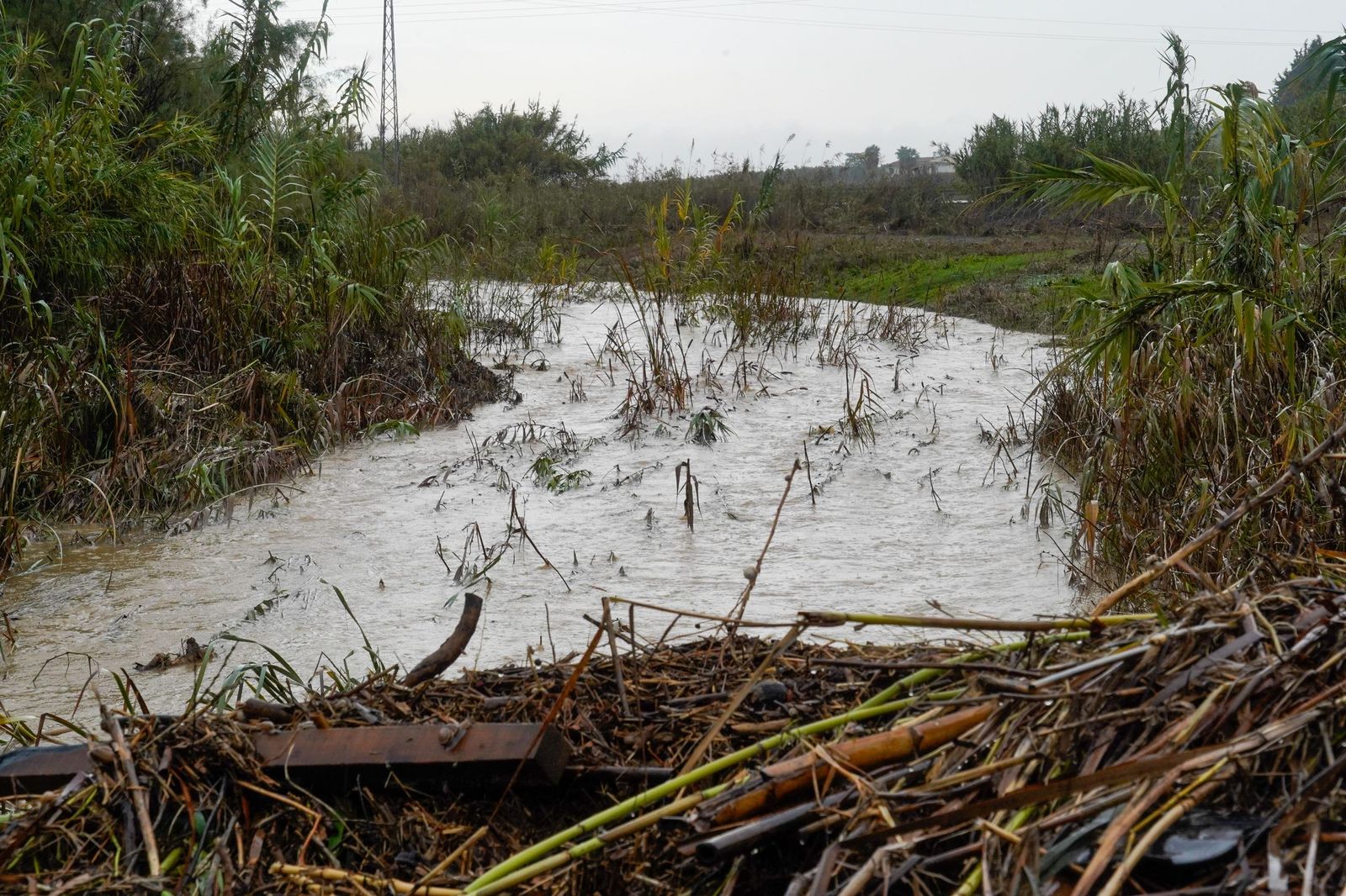 Las mejores imágenes del viernes 1 de noviembre en Huelva