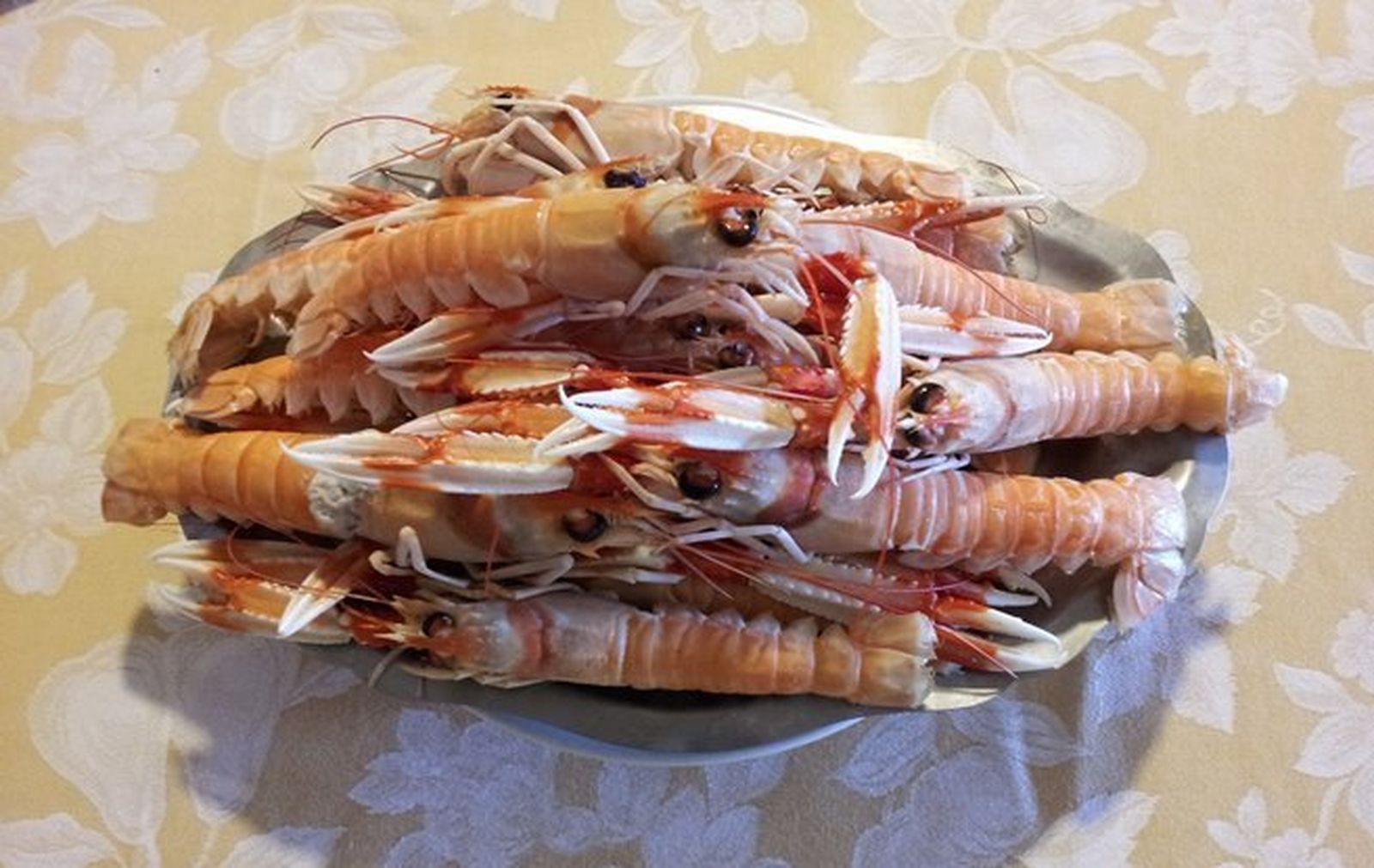 Cigalas: Nephrops norvegicus