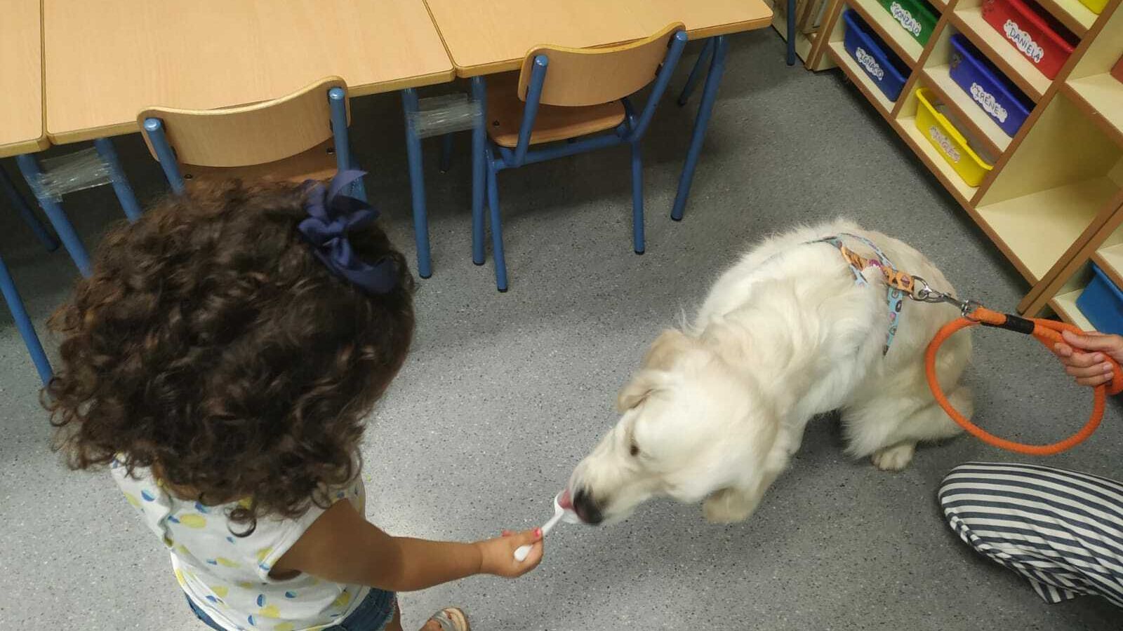 Una niña da de comer a Gala.