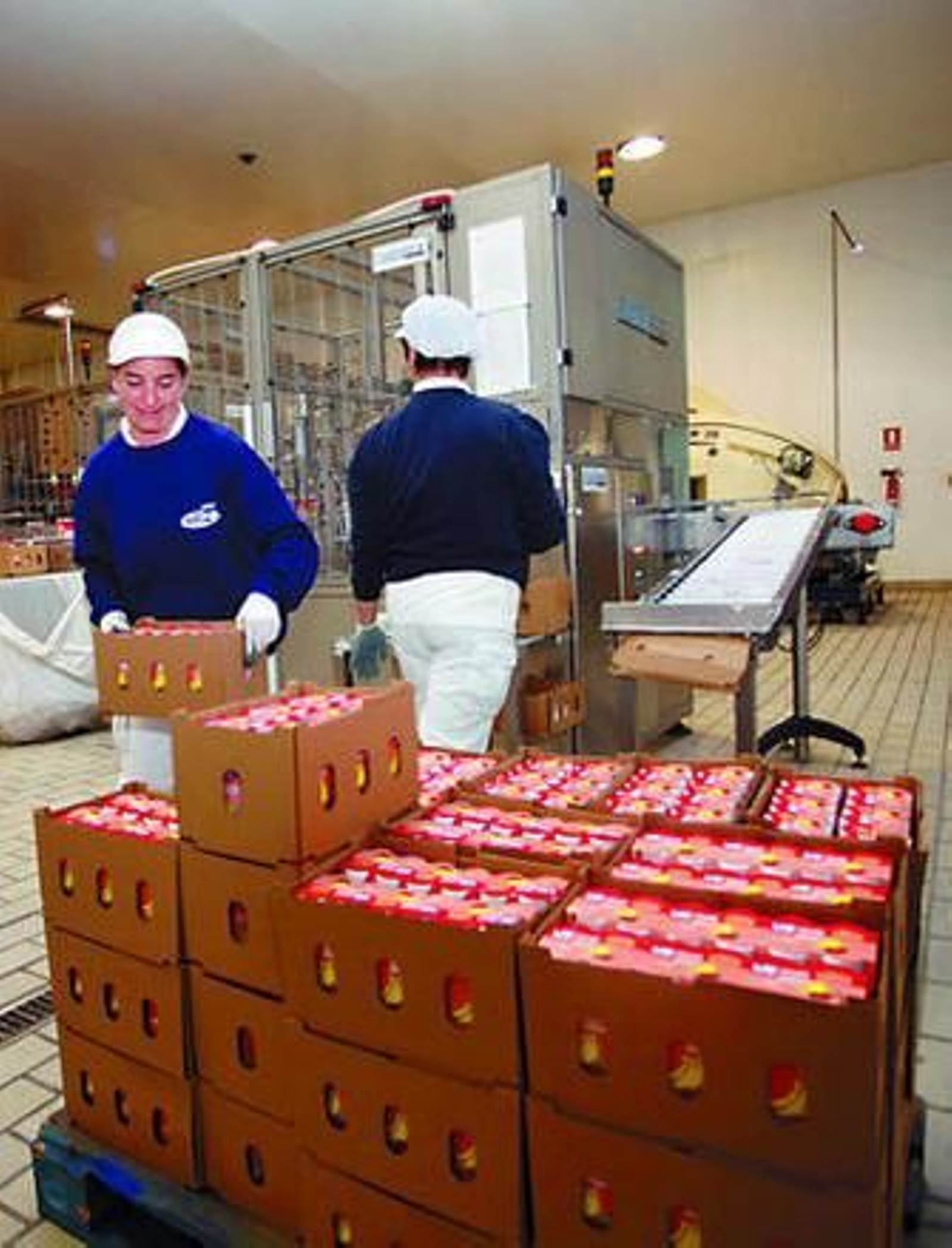 Empleadas en la fábrica de yogur de La Vega en Antequera.