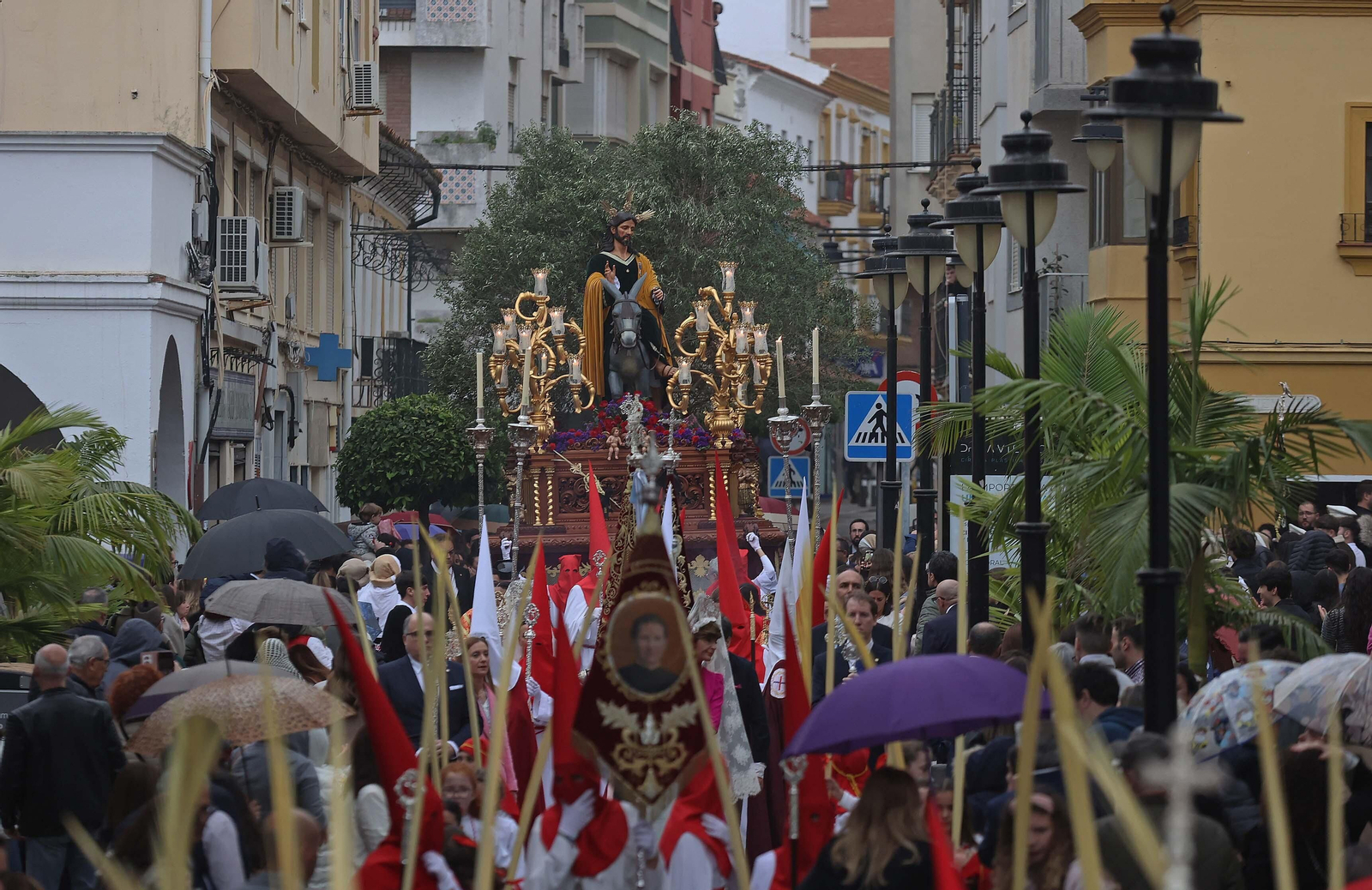 Fotos del Domingo de Ramos en Algeciras: La Borriquita y Oración en el Huerto