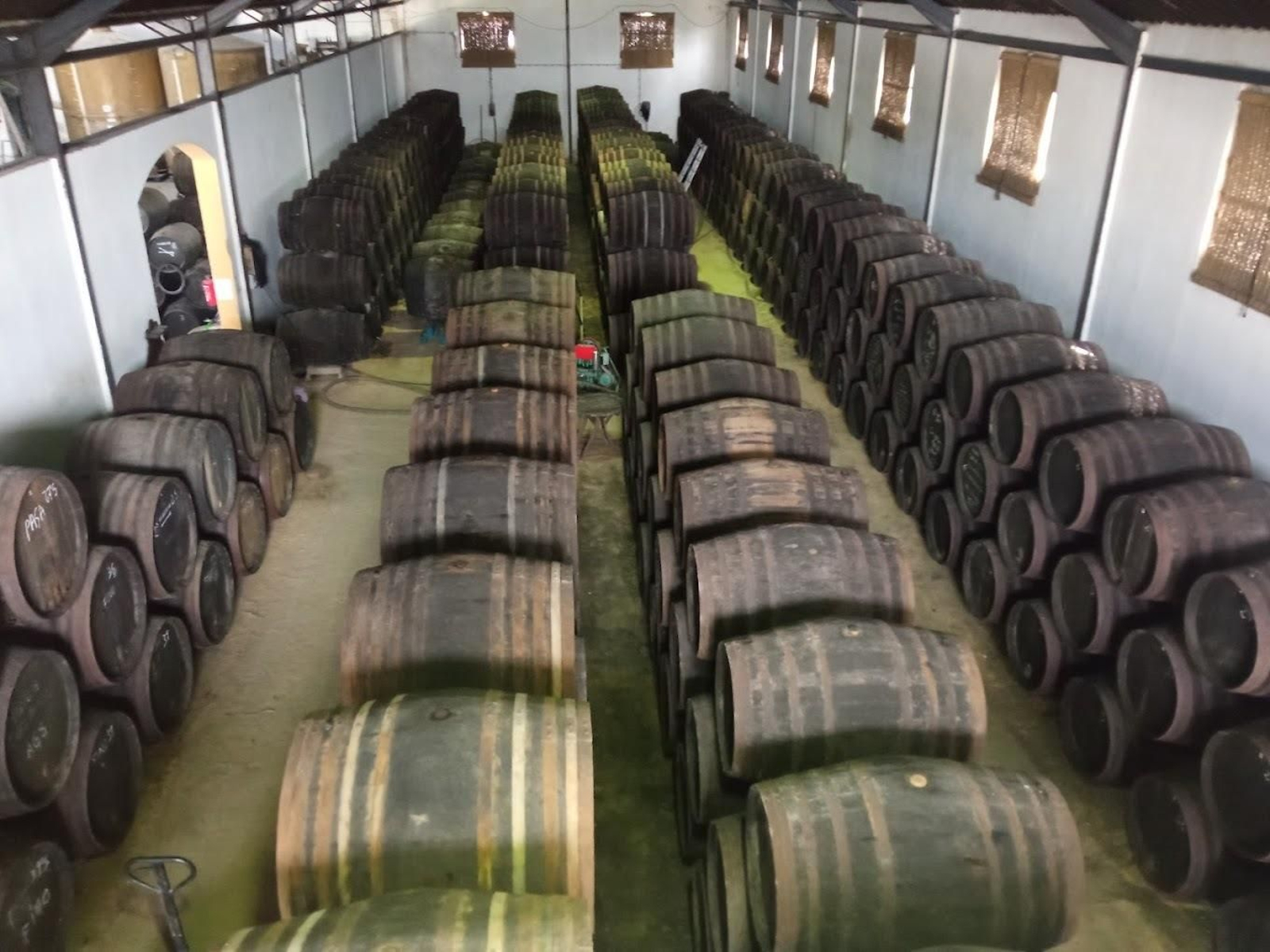 Bodegas José Mellado Martín