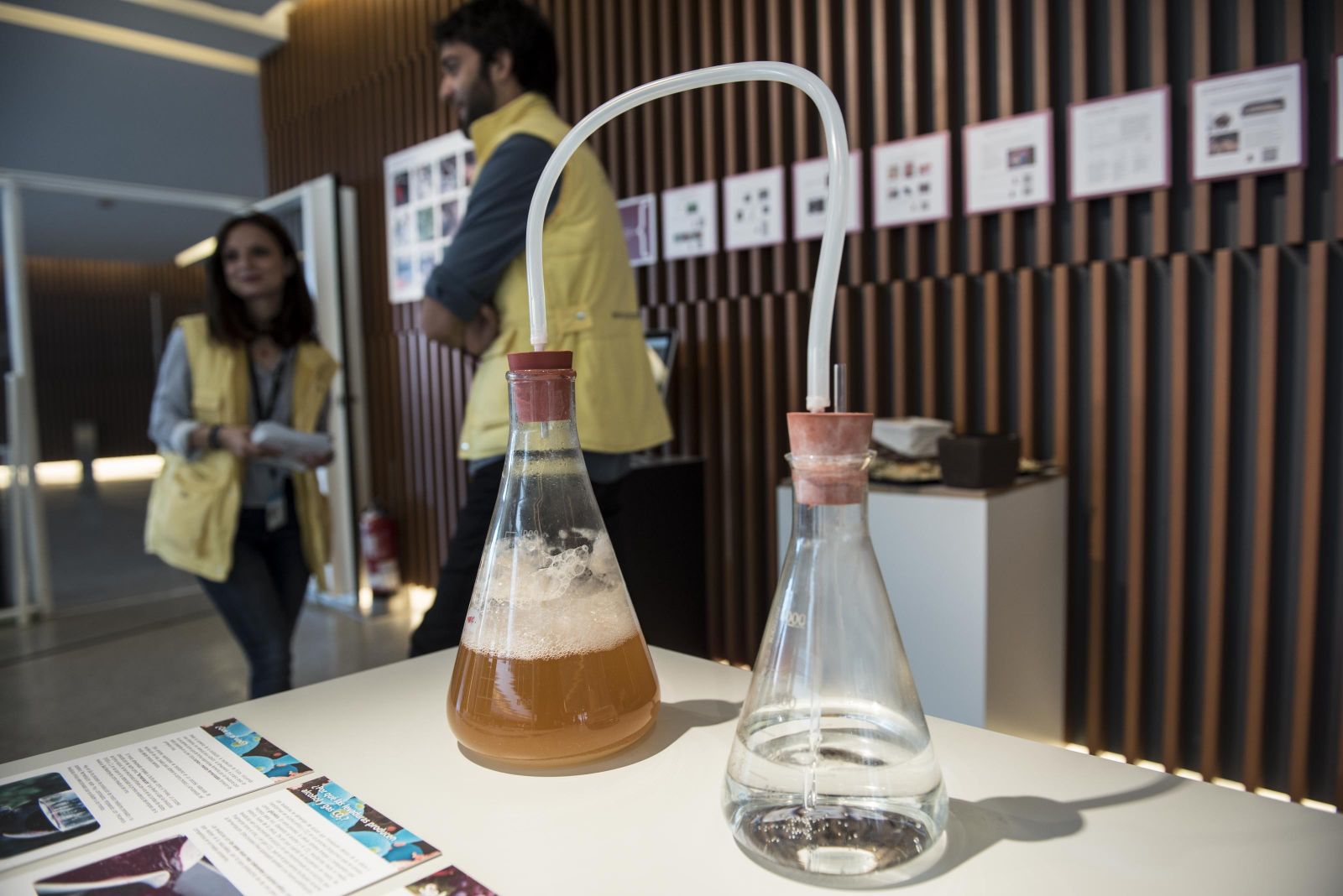 El primer tema que se aborda es 'La vida dentro del vino', de la Universidad Pablo de Olavide.