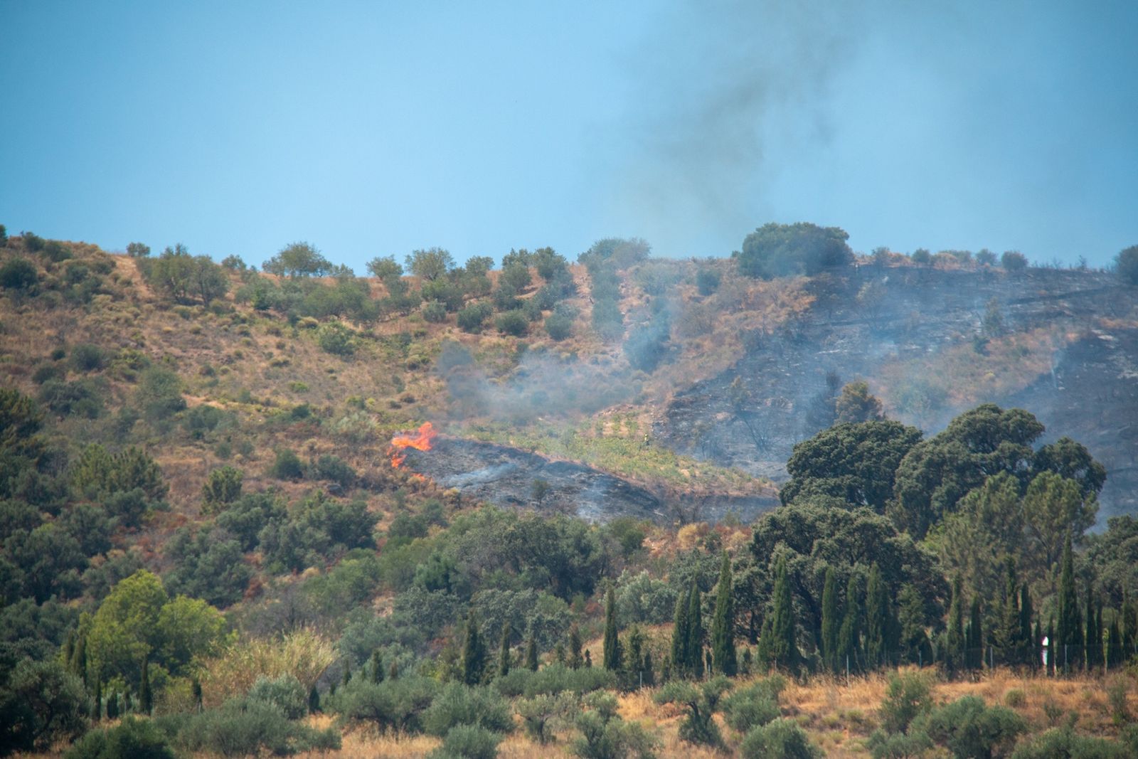 El trabajo para controlar el incendio de Almuñécar, en imágenes