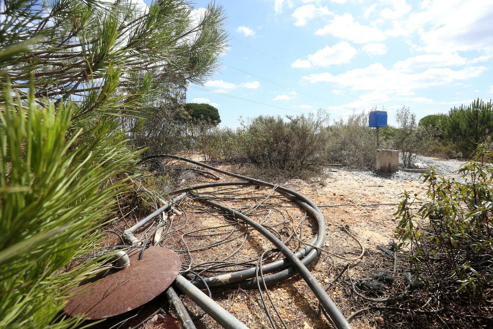 Mangas de riego de unos de los pozos agrícolas sellados por las Confederación.