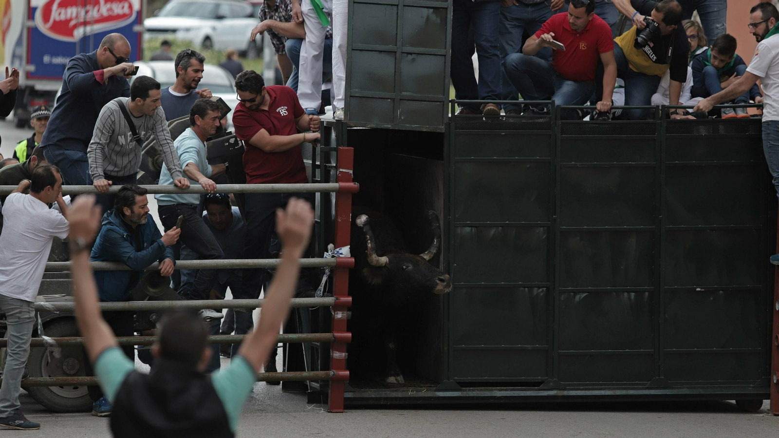 Imágenes del Toro Embolao de Los Barrios