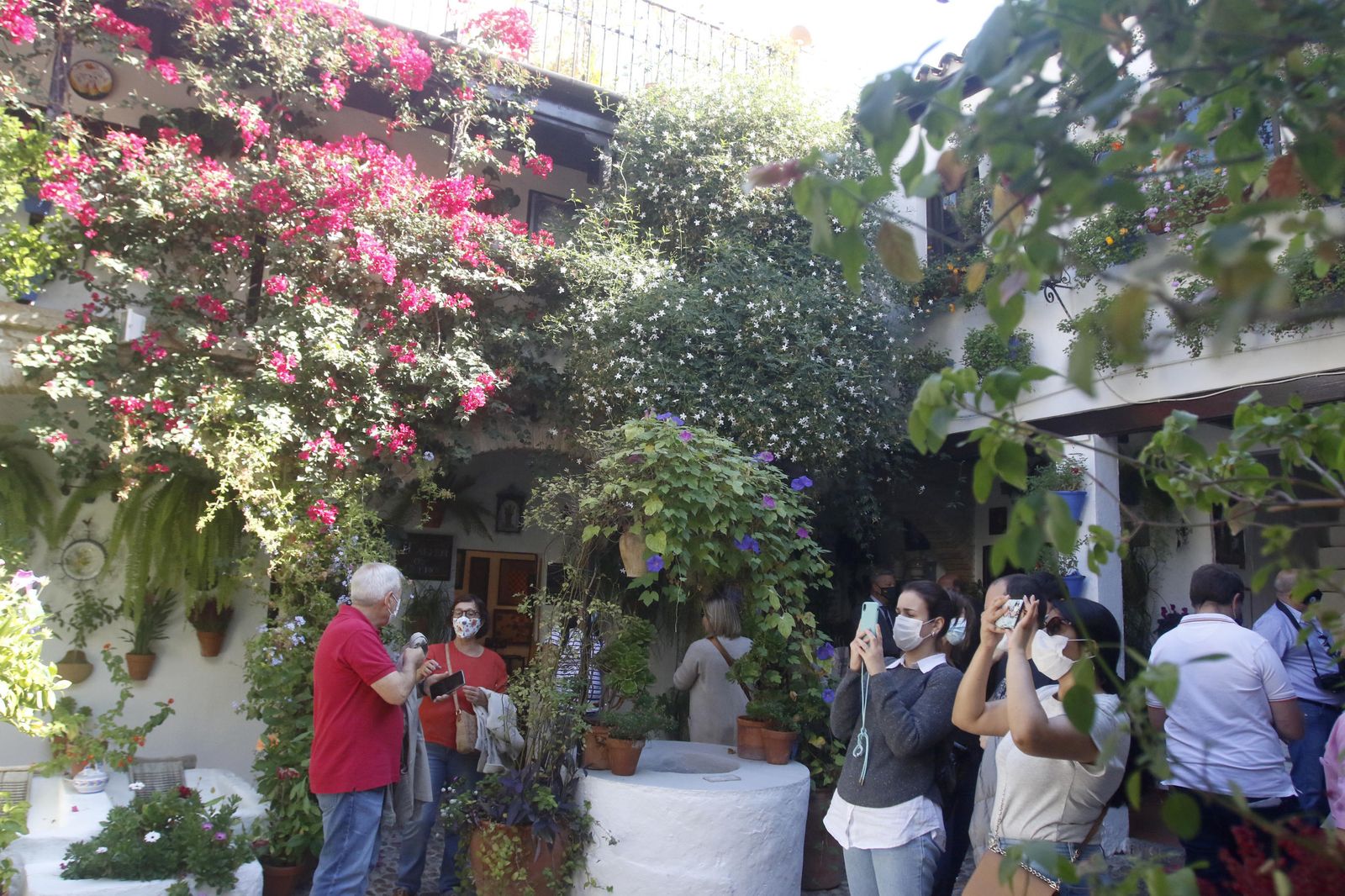 Los Patios en otoño, en fotografías