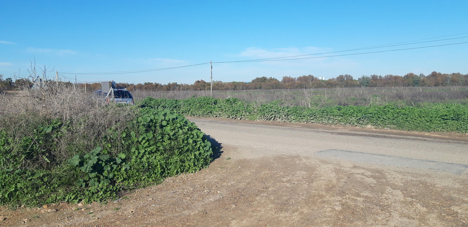 Ruta por la ribera del Guadalquivir entre Sevilla y Coria del Río