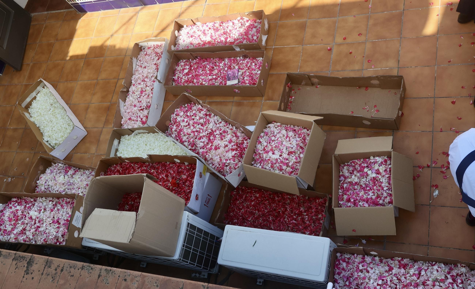 Las imágenes de la Hermandad de San Gonzalo en la Semana Santa 2025