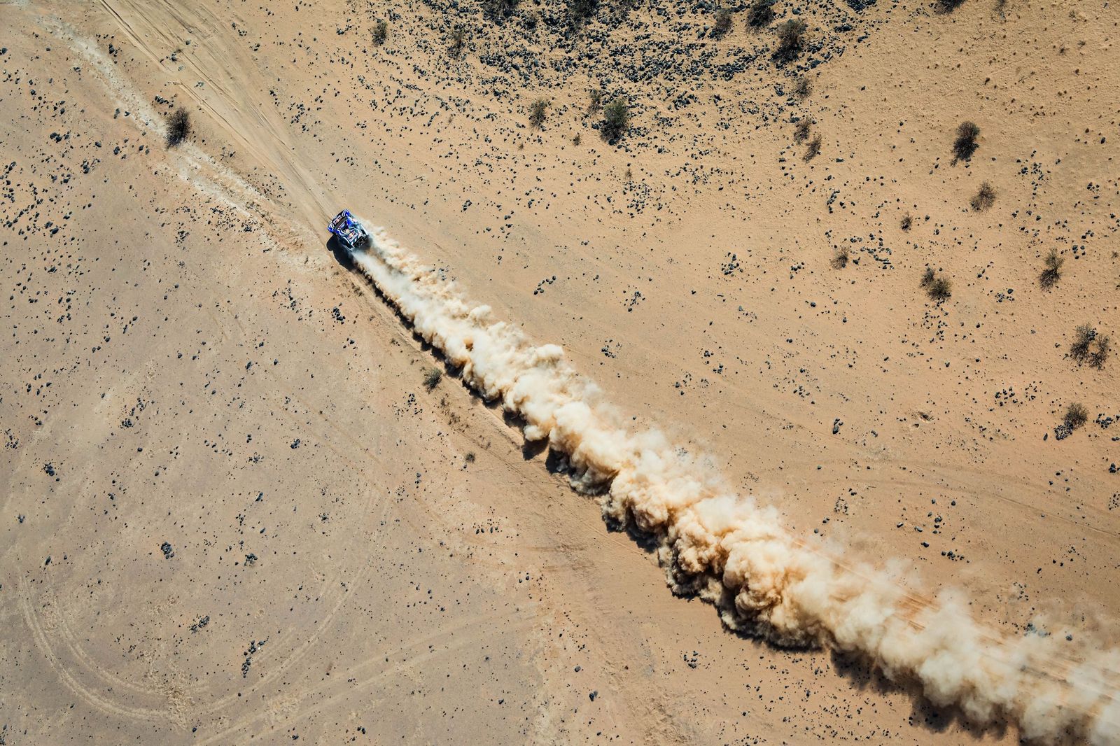 Las mejores fotos del Rally Dakar | undécima etapa
