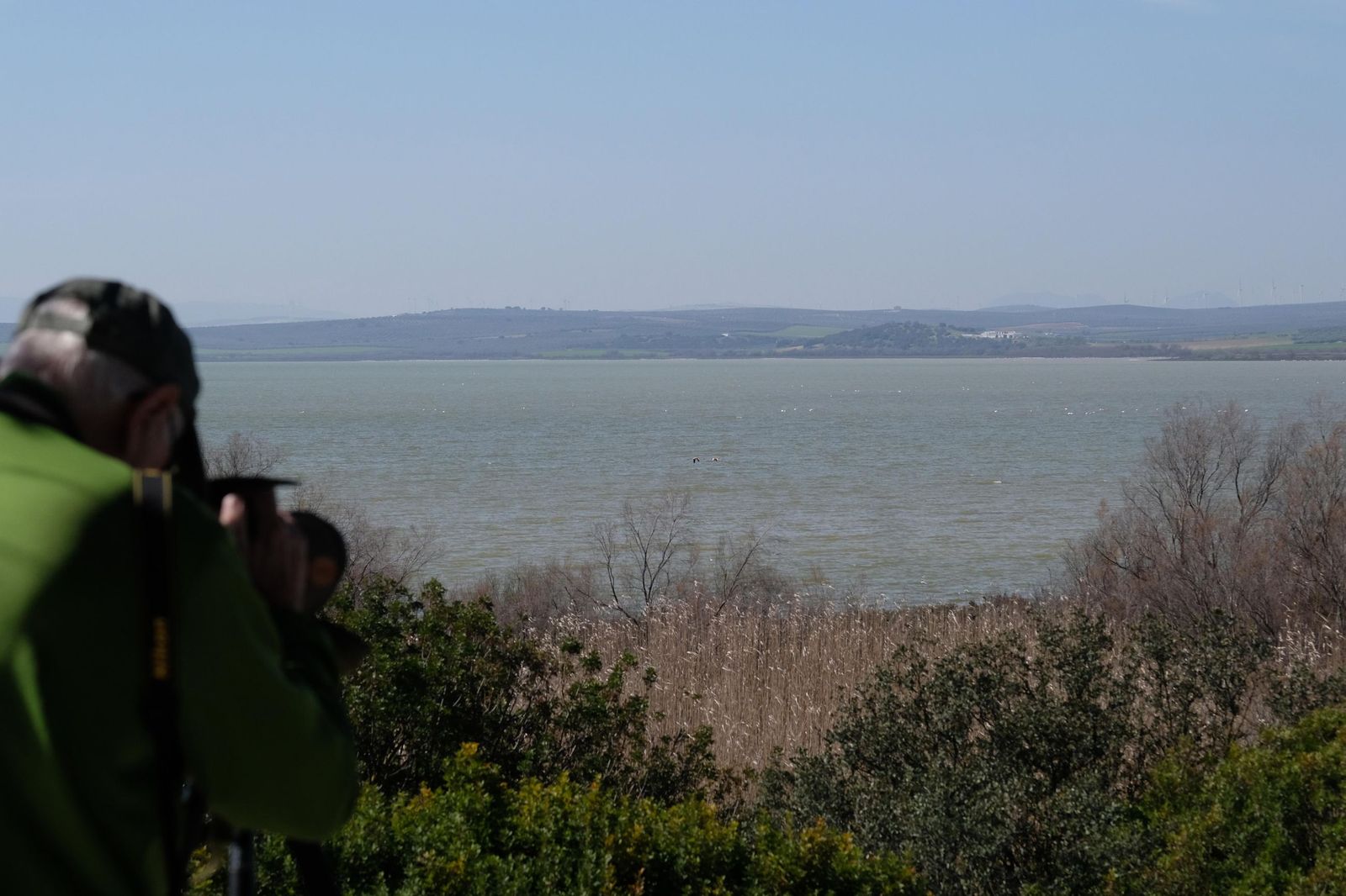 Las lluvias transforman el paisaje en el interior de Málaga, en imágenes