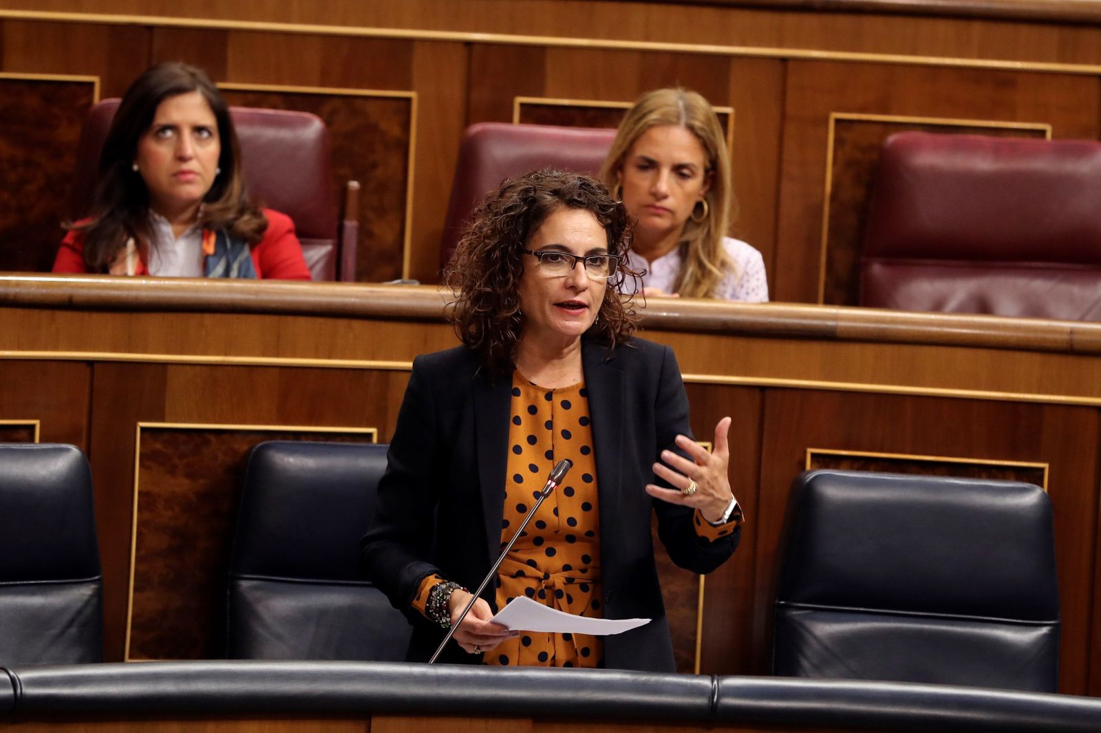 María Jesús Montero, en el Congreso.