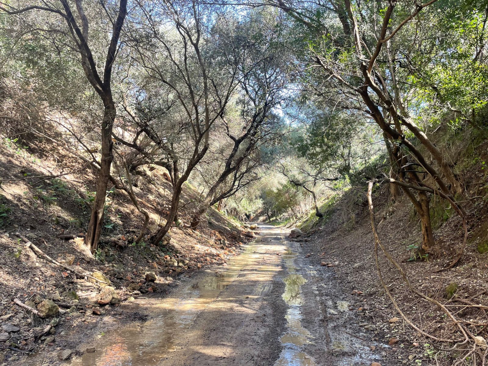 Imagen de la Vía Verde tras los temporales.
