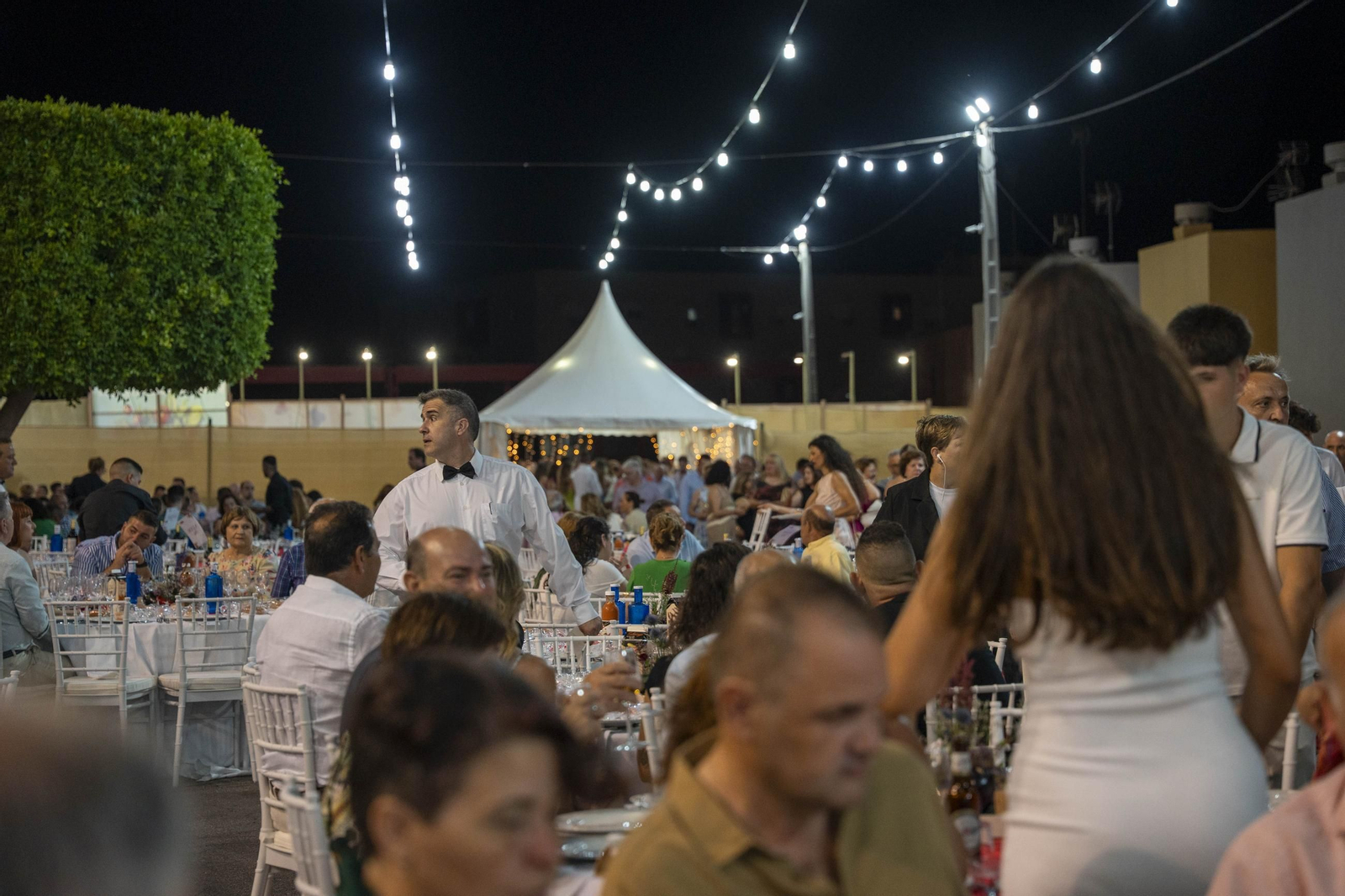 Cena Anual de Vicasol