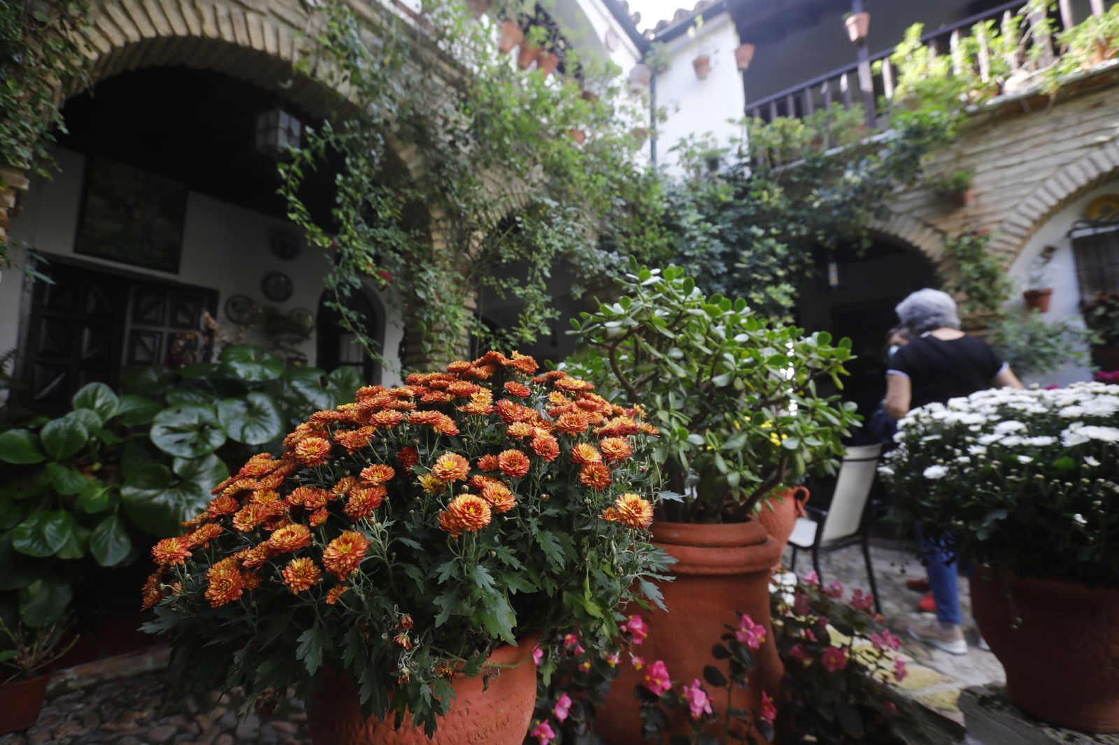 Las fotografías del primer día de apertura de los Patios de Córdoba en otoño