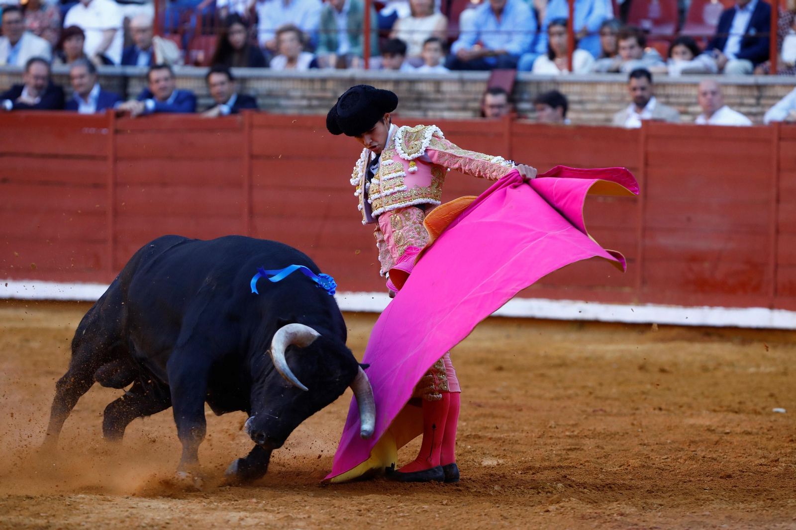 La presentación del novillero Manuel Román en Córdoba, en imágenes