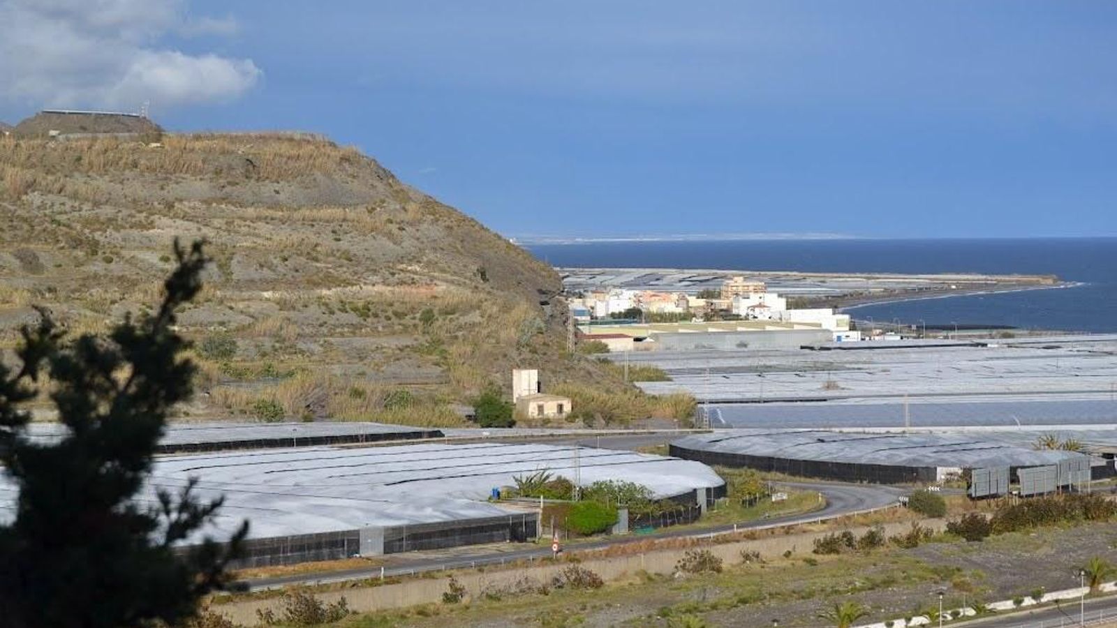 Nuevos casos de coronavirus en Albuñol