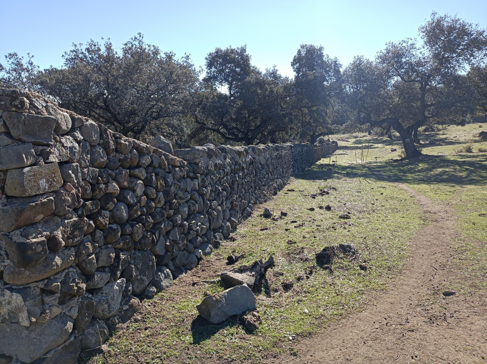 Ruta de Las Cañadillas