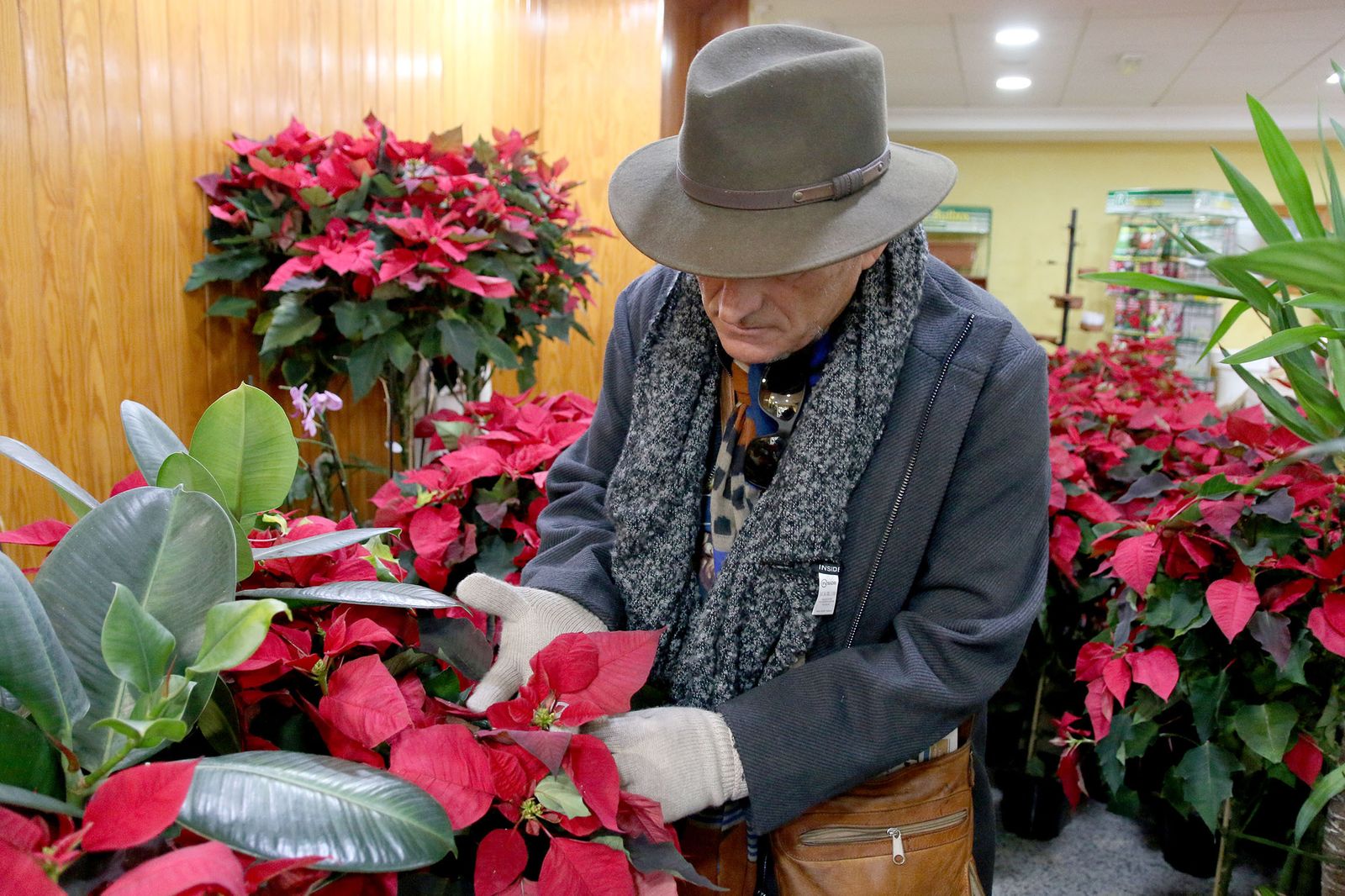 Fotogalería Floristería Suministros Tripiana