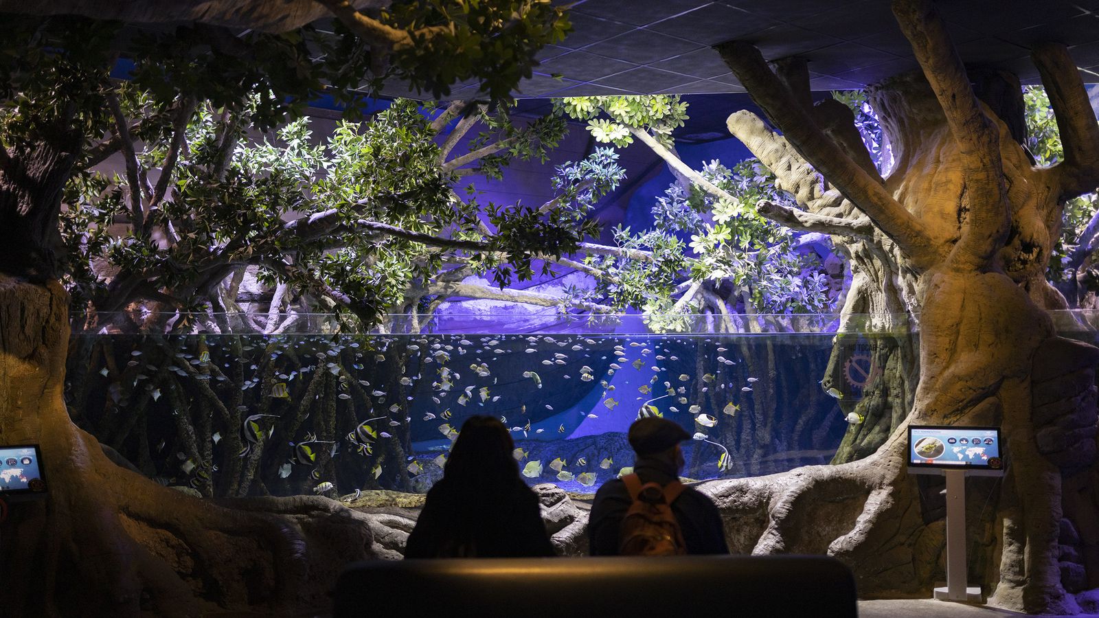 Todos los tanques del Acuario de Sevilla suman más de 3.000 metros cúbicos de agua.