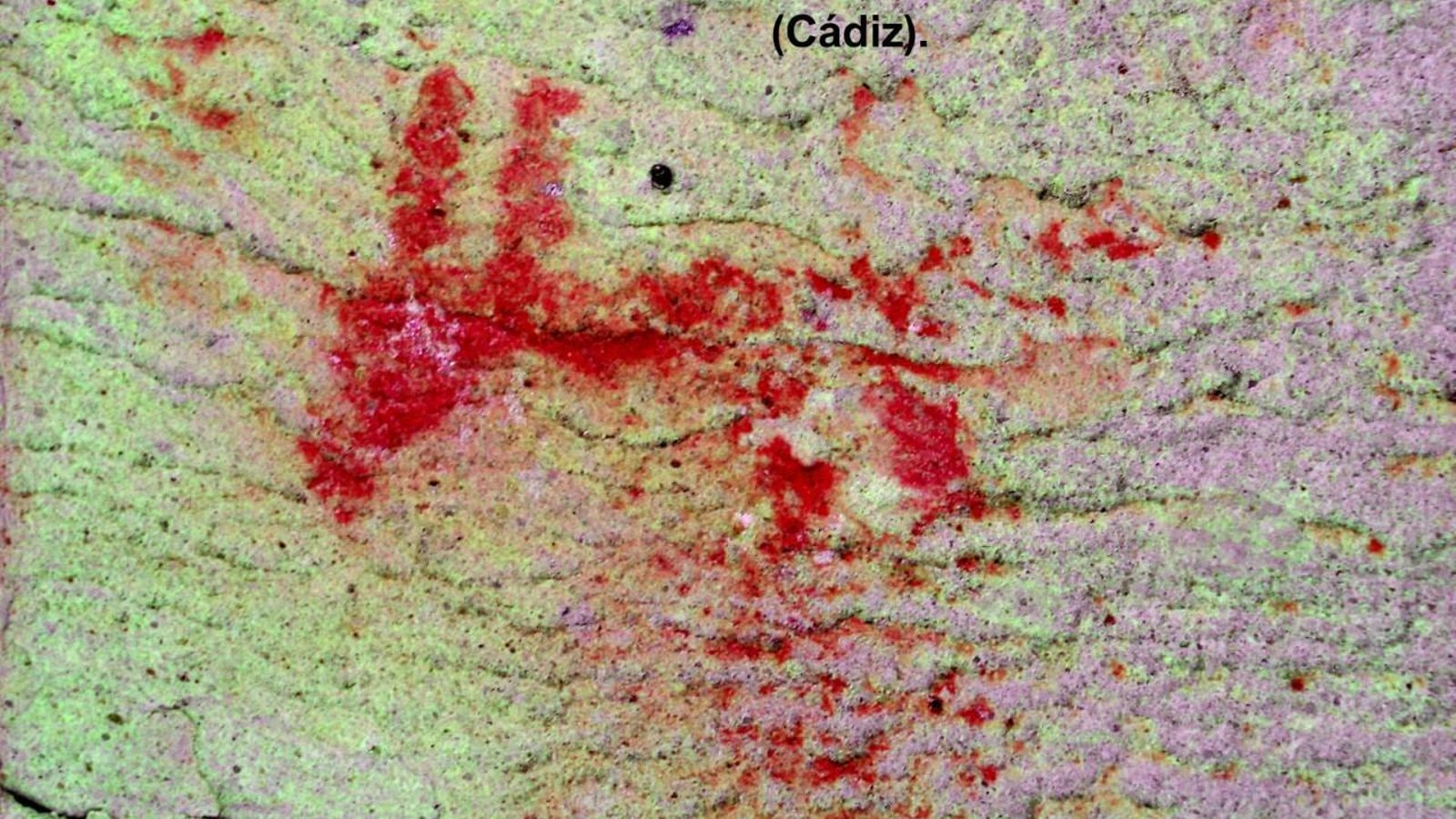 Detalle équido esquemático Cueva de Bacinete, Los Barrios.