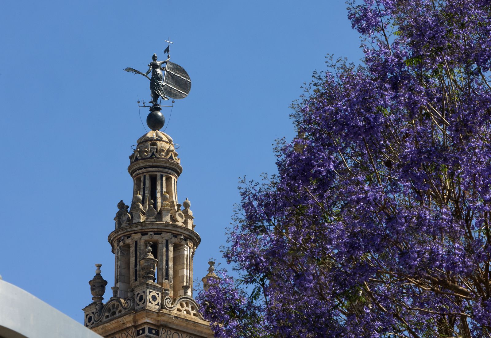 Las jacarandas vuelven a teñir de morado Sevilla