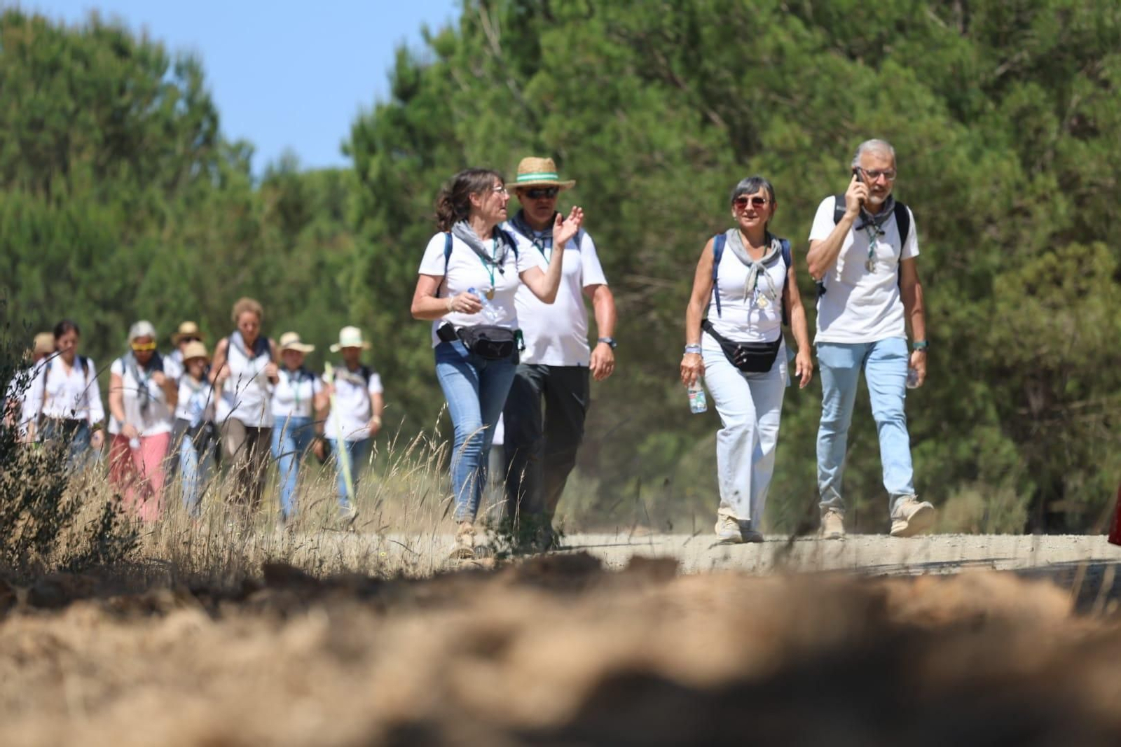 Ambientazo en el camino de Huelva al Rocío este viernes: imágenes de los peregrinos en La Matilla