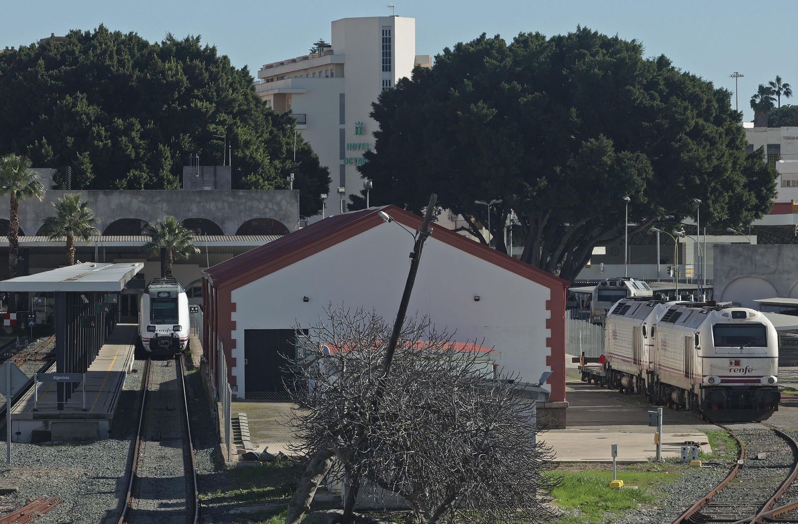 La consternación en Algeciras por la tragedia ferroviaria de Adamuz, en imágenes