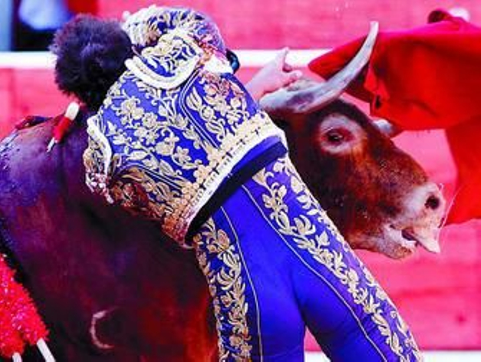 El Fandi, estoqueando al toro que sembró el pánico en el encierro.