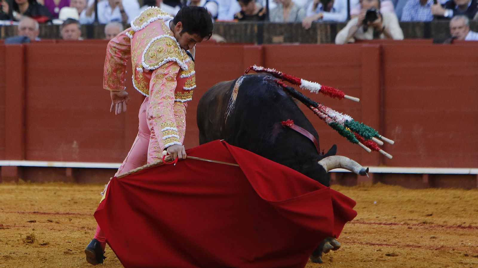 Cayetano en acción con la muleta.
