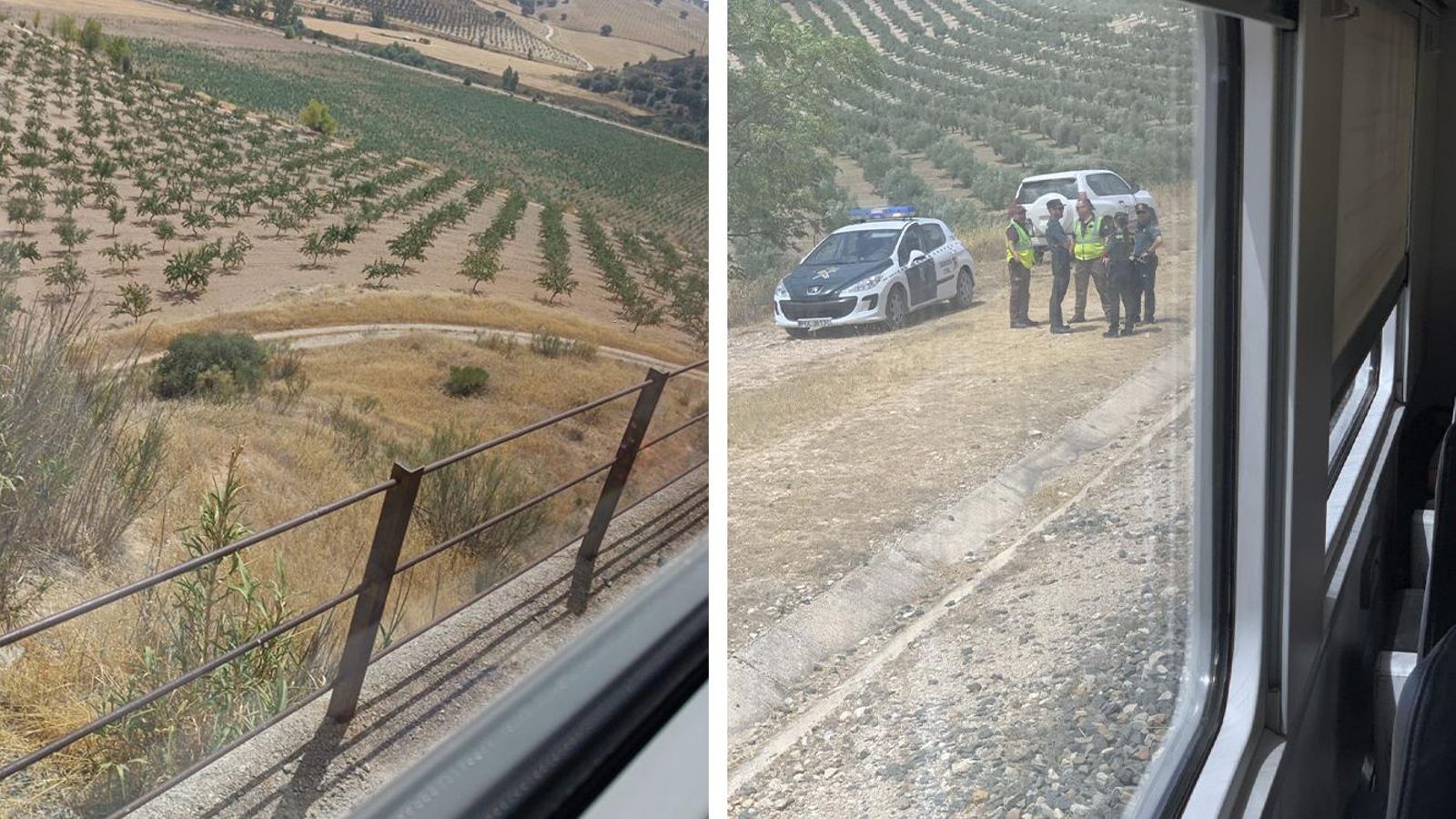 Fotos del tren parado compartidas en redes sociales.