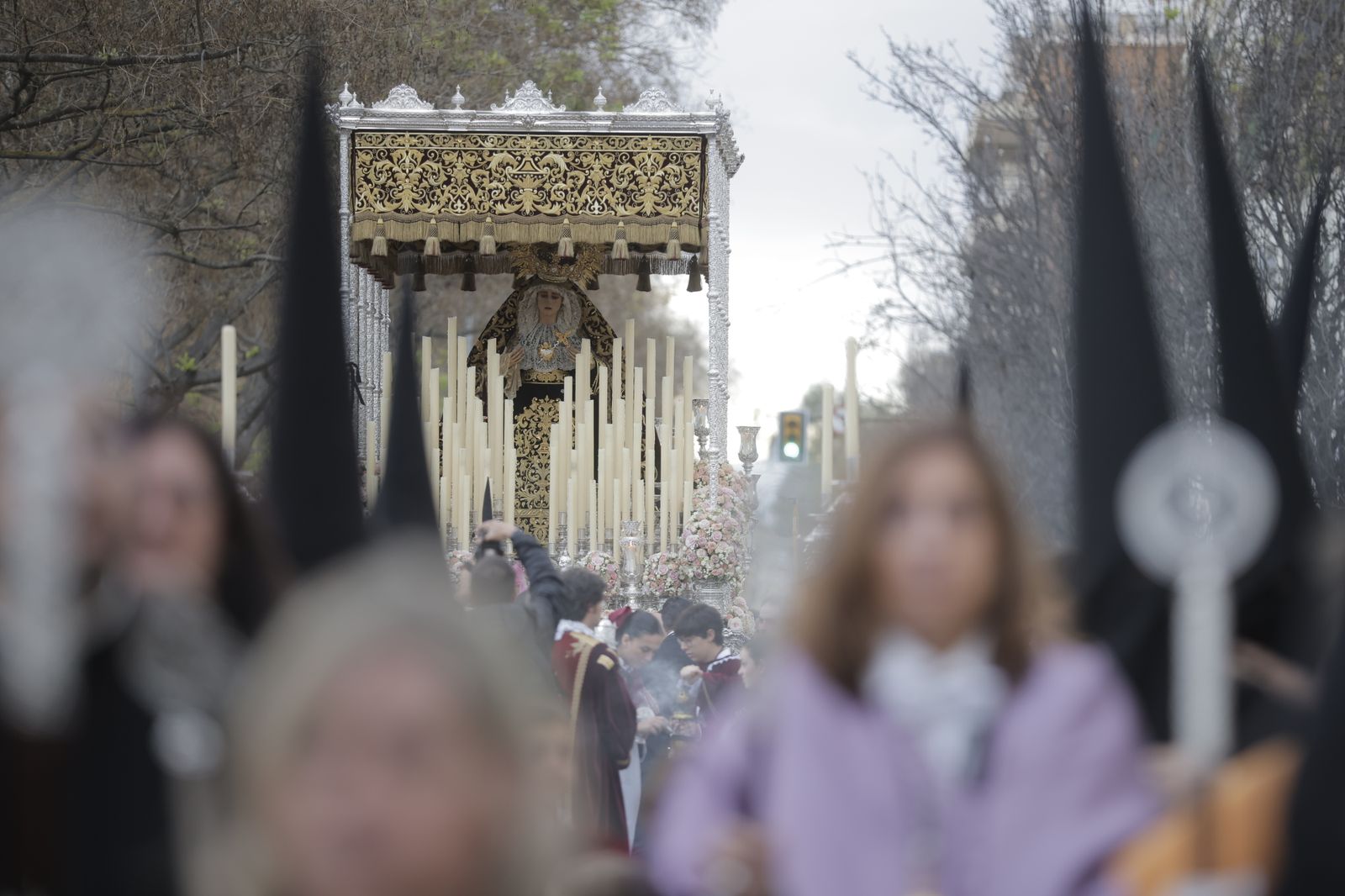 Imágenes del Martes Santo: Hermandad de los Estudiantes