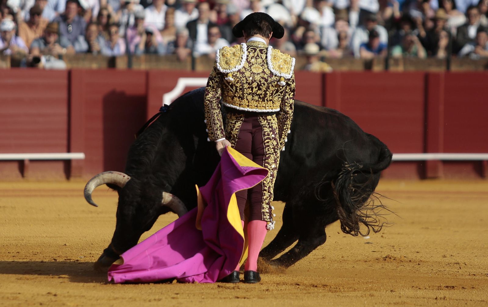 Las imágenes de la undécima de abono de la Maestranza