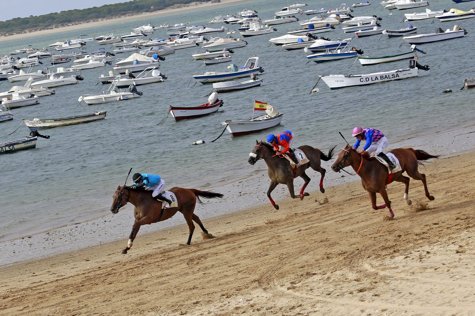 Las tres carreras que se han celebrado en este segundo día, de gran nivel.