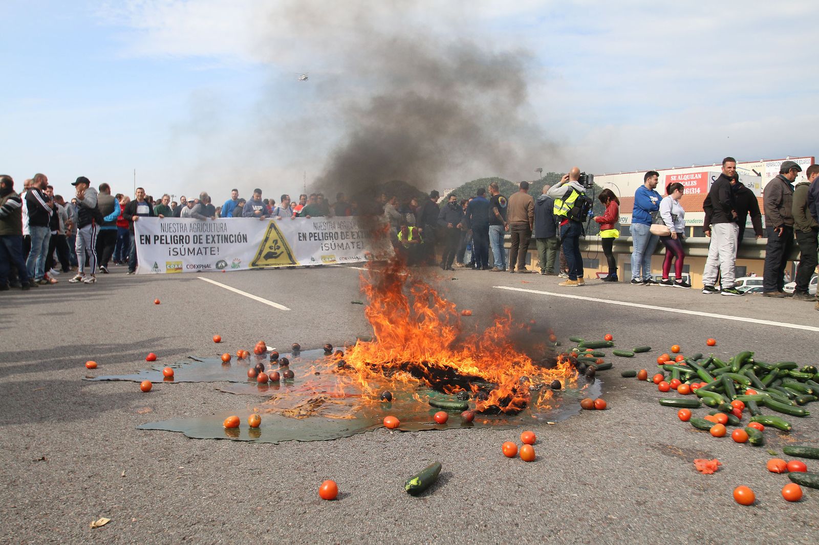 Las imágenes de la manifestación de agricultores