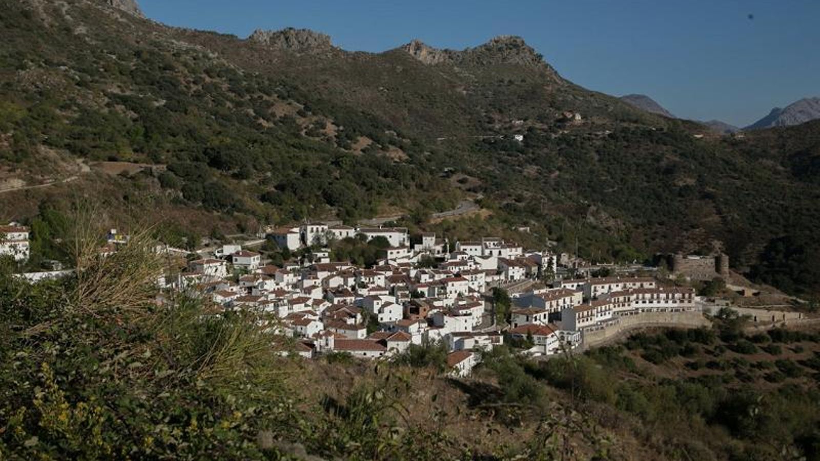 El castaño da color durante todo el año al Valle del Genal.