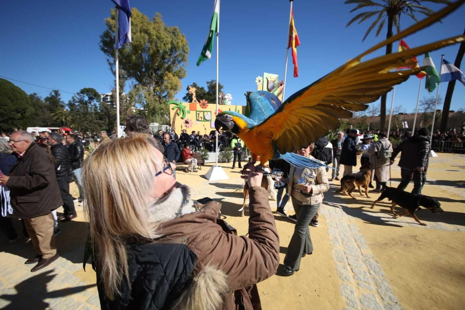 Una de las asistentes mostrando su mascota en la Fiesta de San Antón Una de las asistentes mostrando su mascota en la Fiesta de San Antón