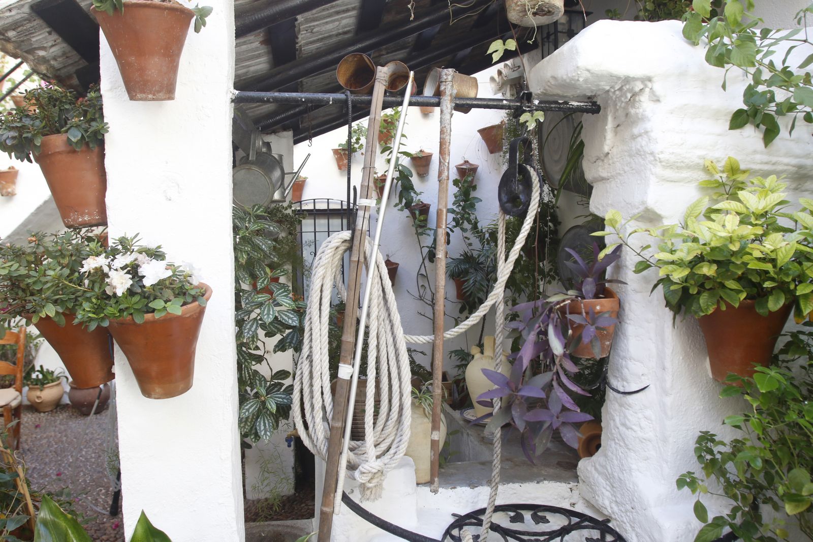 Las fotografías de los Patios de Córdoba en otoño