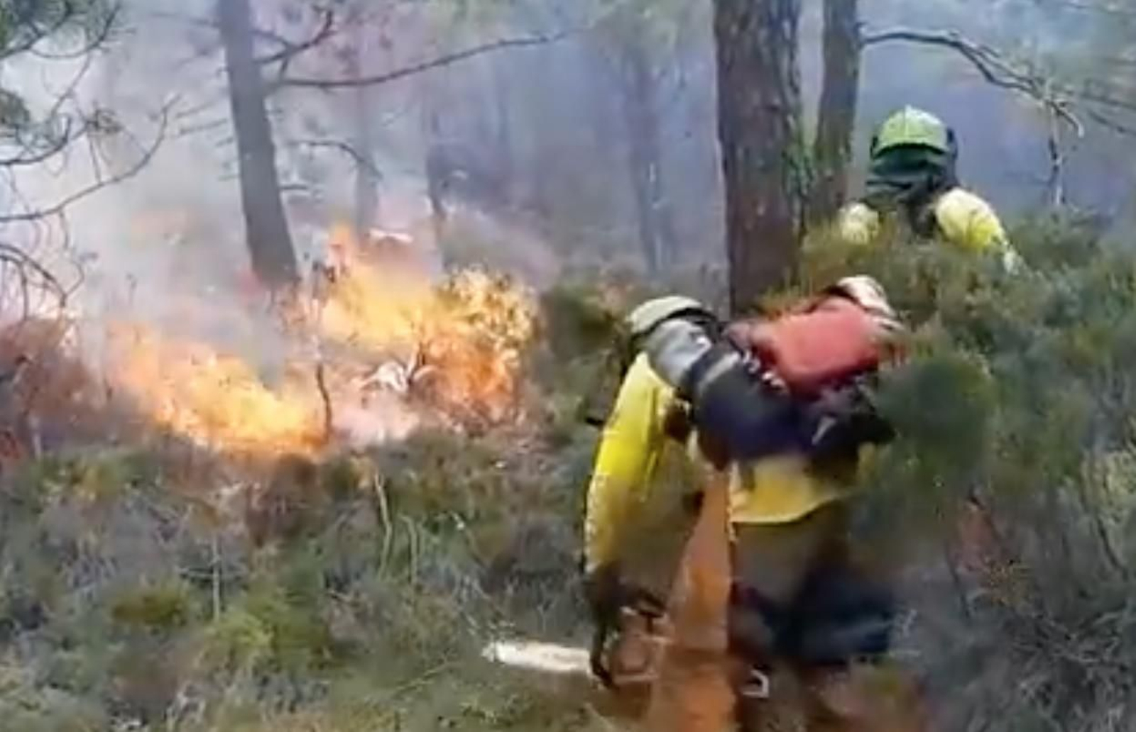 Dos agentes forestales participan en la extinción del fuego en Genalguacil.