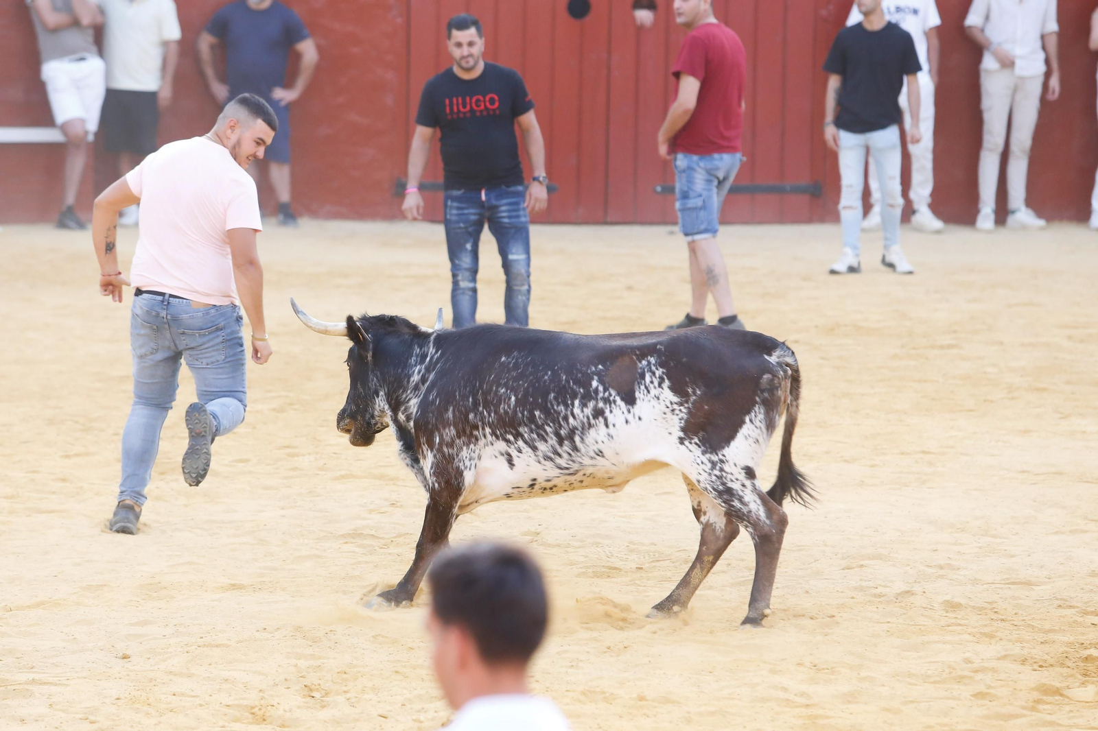 Fotos del Toro del Aguardiente en San Roque