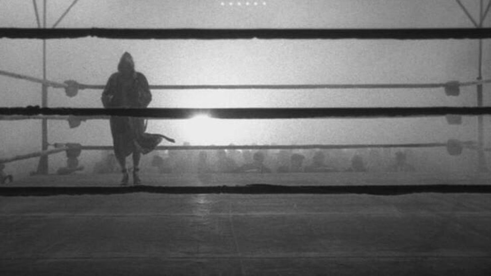 Una de las bellísimas imágenes del comienzo de 'Toro salvaje'.