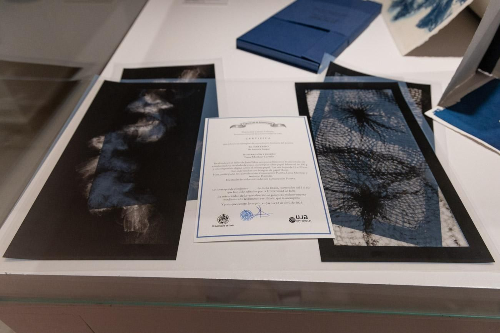 La poesía de Aurora Luque inspira la exposición 'Libros de Artista 2025'